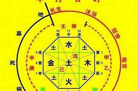 八字 根|四柱命理